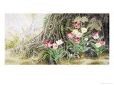 Flowers by Tree