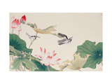 Birds by Lotus Pond
