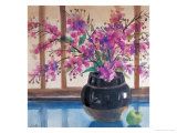 Crape Myrtle