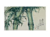 Green Bamboos