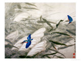 Morning Birds