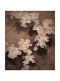 White Flowers