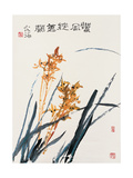 Orchids in Spring Breeze