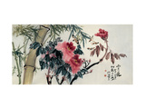Peonies