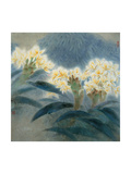 Hibiscus Bush Turning Yellow