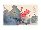 Fragrant Lotus