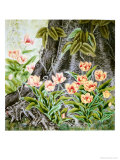 New Flowers