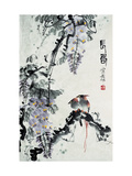 Flowers & Birds Series 11