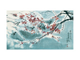 Plum Blossom in Snow