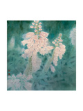 Flower Series IV