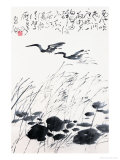 Birds over Lake