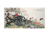 Birds  Peacock and Flowers in Spring