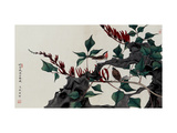 Birds on Coral Trees
