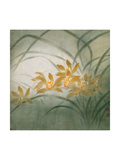 Flower Series III - Cymbidium Orchids