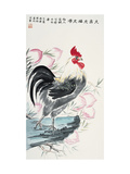 Rooster and Peach