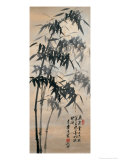 Bamboo in Different Shades