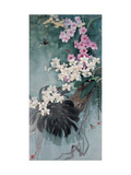 Floral Beauty in Tropical Region