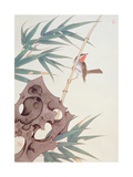 Bamboo and Bird in the Wind