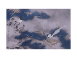 Birds on Pine Tree
