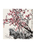Plum Blossoms