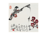 Plum Blossoms