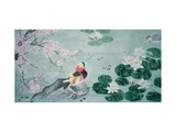 Sleeping Water Lilies