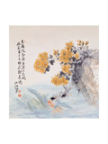 Playing Under Chrysanthemums