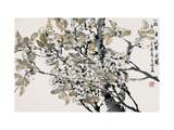 Plum Blossoms after Rain