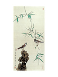 Birds in the Courtyard