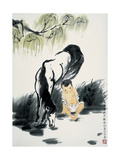 Horse and Boy by Creek