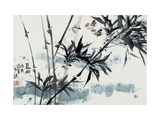Birds in Winter Morning