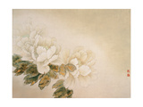 Green Peonies