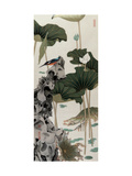 Lotus Pond with Sliced Shadow