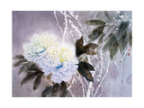 Peonies