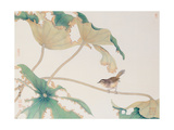 Bird on Lotus Leave