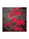 Chinese Hibiscuses