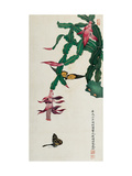 Holiday Cactus