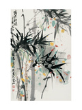 Bamboo in Mist