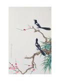 Happy Birds in Plum Tree