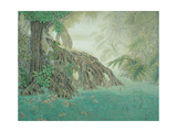 Rain Forest