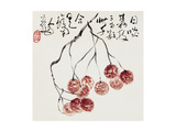 Litchis