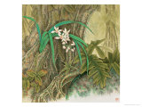 Orchids in Rain Forest