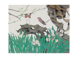 Narcissuses and Bird