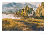 Scenery Around The River