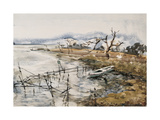 River in Early Spring