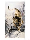 Running Lion