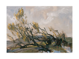 Spring Wind Breeds Life