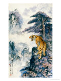 Tiger's Roar in the Valley