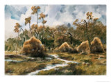 Spring Creek
