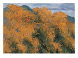 Golden Bamboo
